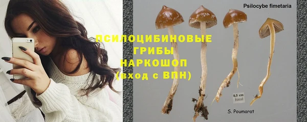 трава Бугульма