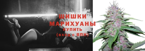 амф Бородино