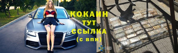 амф Бородино