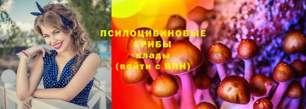 трава Бугульма