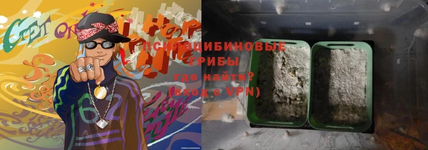 амф Бородино